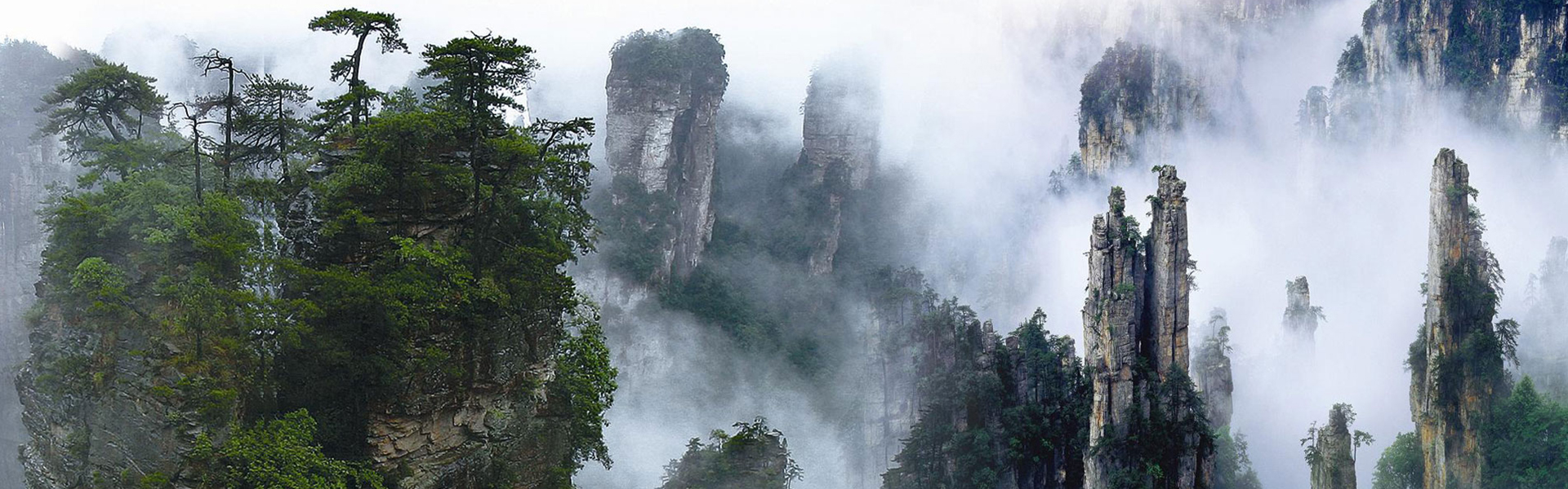 Zhangjiajie Taiji Tour