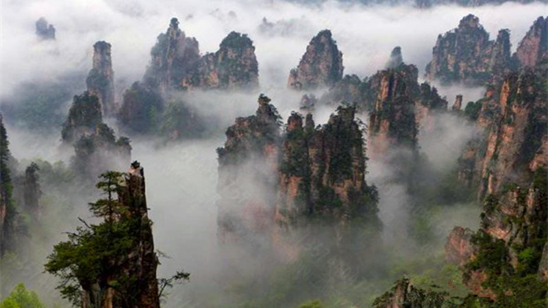 5 Days Zhangjiajie Tour for Students