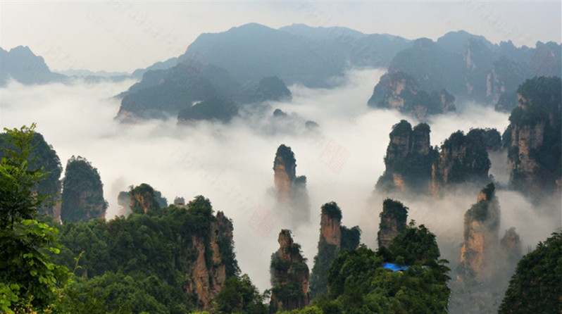 5 Days Zhangjiajie Tour for Students