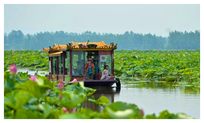 Tuanhu Lake Lotus Flower Park