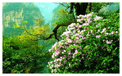 Zhangjiajie Weather and travel in March