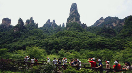 4 Days Small Group Zhangjiajie Avatar Tour with Glass Bridge