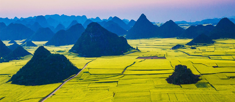 5 Days Luoping Golden Canola Flower Tour