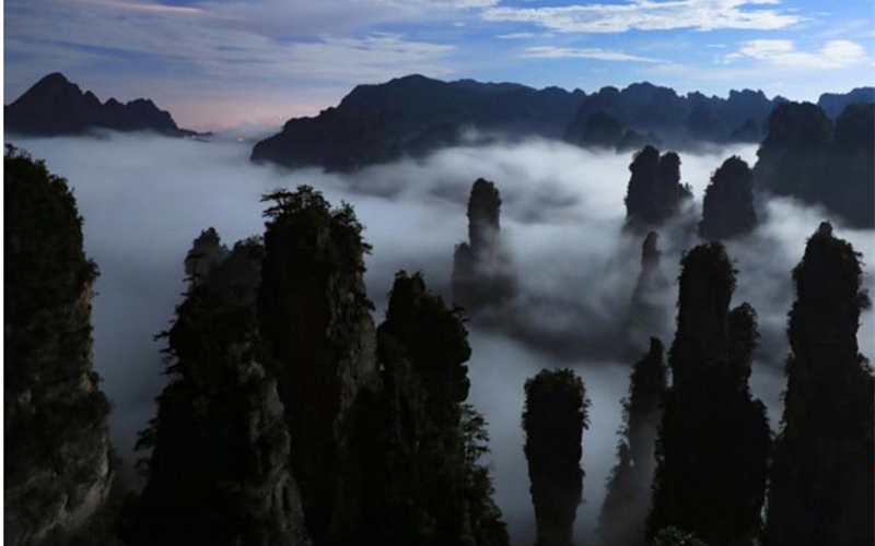 Cloud Sea of Tianzi Mountain