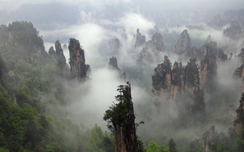 Cloud Sea of Tianzi Mountain