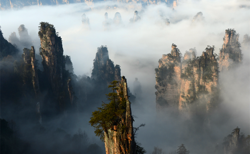 Cloud Sea of Tianzi Mountain