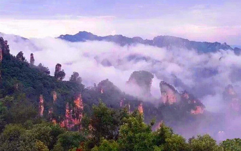Cloud Sea of Tianzi Mountain