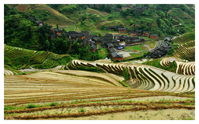 Jinkeng Dazhai Village