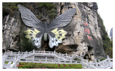 Dali Butterfly Spring 