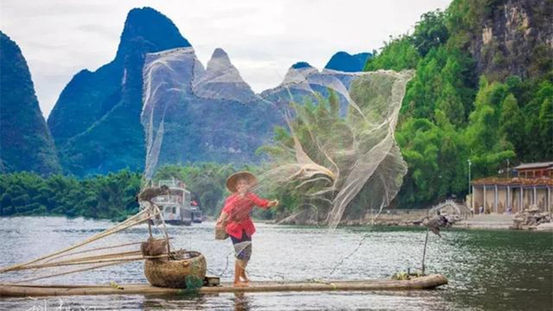 Cormorant Fishing On Li River