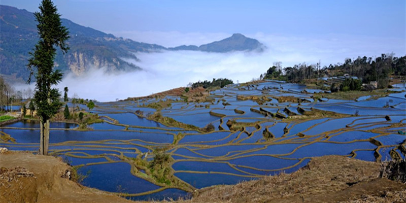 7 Days Kunming Jianshui Yuanyang Tour