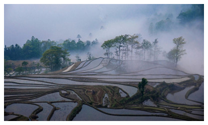 7 Days Kunming Yuanyang Terraced Field Tour