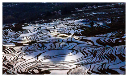 7 Days Kunming Yuanyang Terraced Field Tour