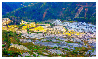 7 Days Kunming Yuanyang Terraced Field Tour