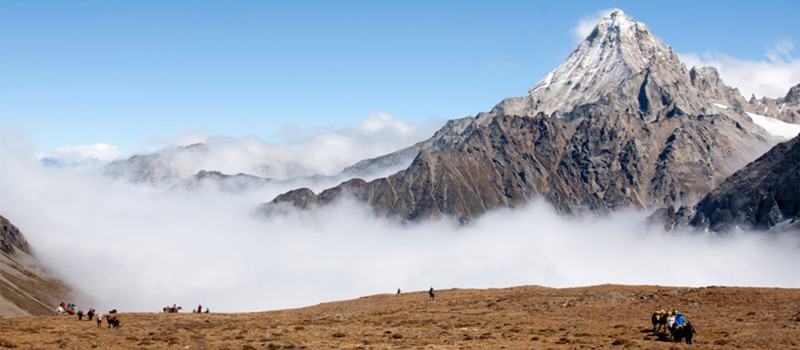 7 Days Daocheng Yading Tour