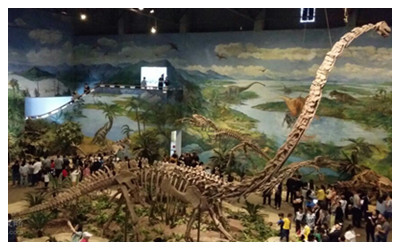 Dinosaur Museum1.jpg