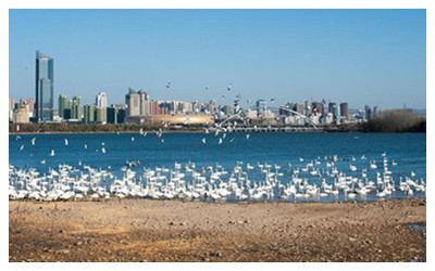 Sanmenxia Yellow River Wetland Park