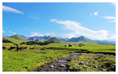 Xinjiang Nalati Grassland 