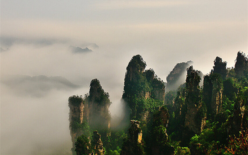 Moonlight at Tianzi Mountain