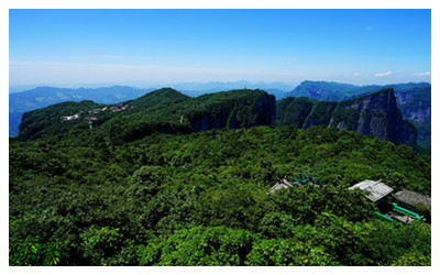 Tianmen Mountain Bonsai Garden