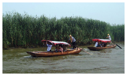 Baiyangdian Lake