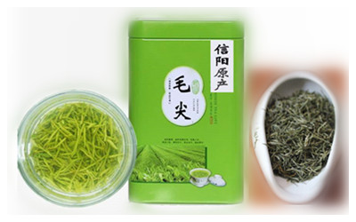 Xinyang Maojian Tea